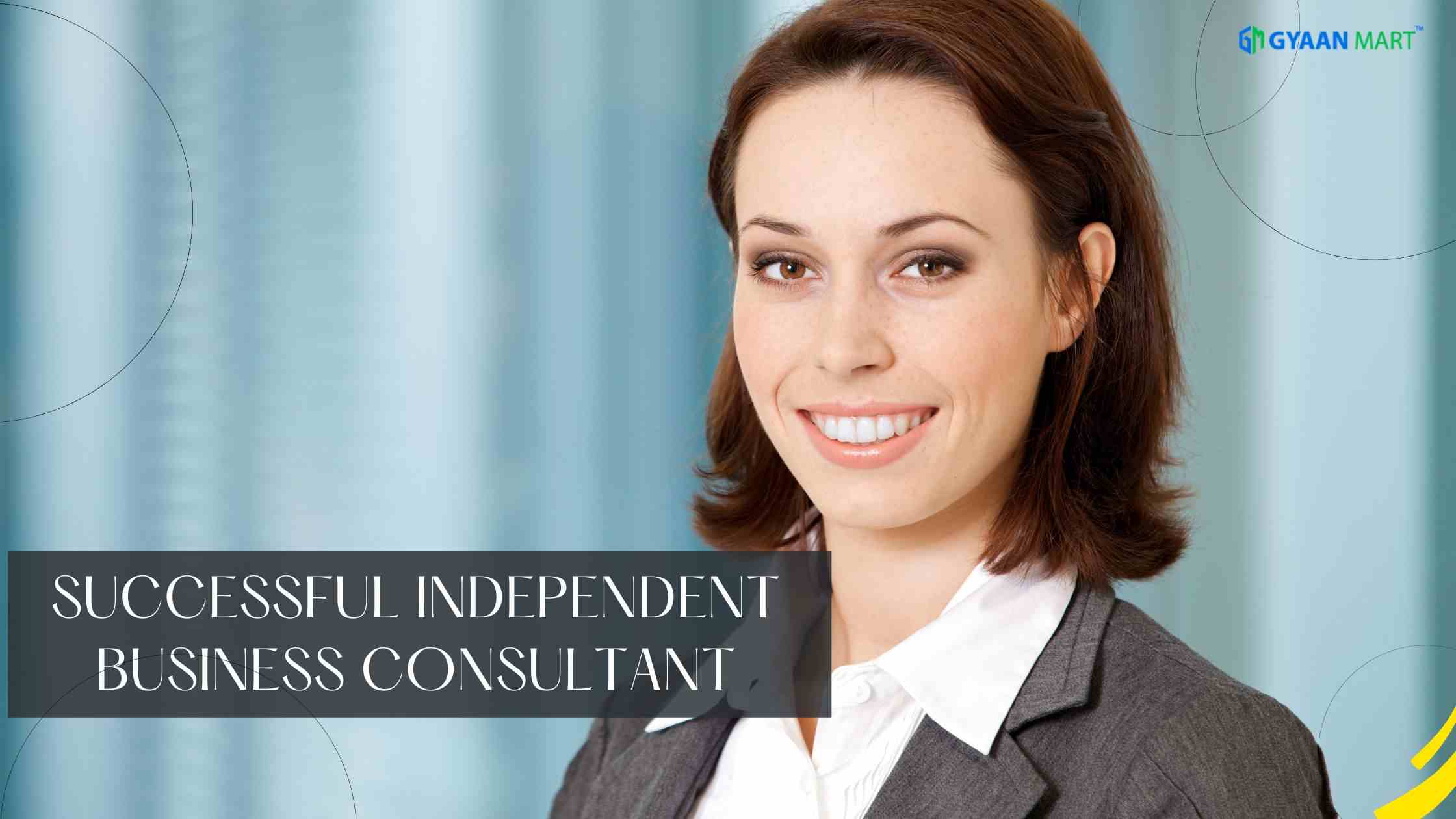Successful Independent Business Consultant